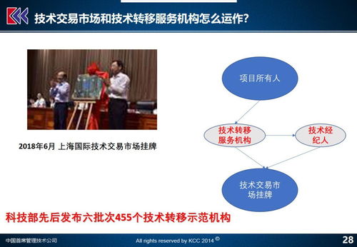 科技企業(yè)改革的基石 聚焦四大領(lǐng)域，解析九大議題（上）——科技中介服務(wù)的轉(zhuǎn)型與賦能