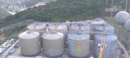 踐行低碳環(huán)保發(fā)展理念 綠色發(fā)展助力中國經(jīng)濟(jì)轉(zhuǎn)型升級