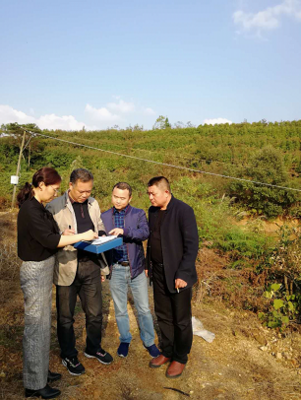 岳陽審計局開發(fā)區(qū)分局嚴(yán)把環(huán)保督查項目復(fù)核關(guān)